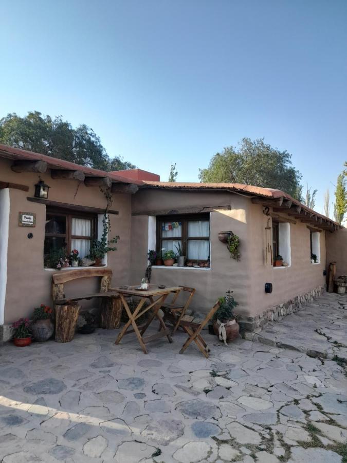 Alta Montana Cabanas Hotel Tilcara Eksteriør billede